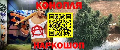 дживик Камышлов