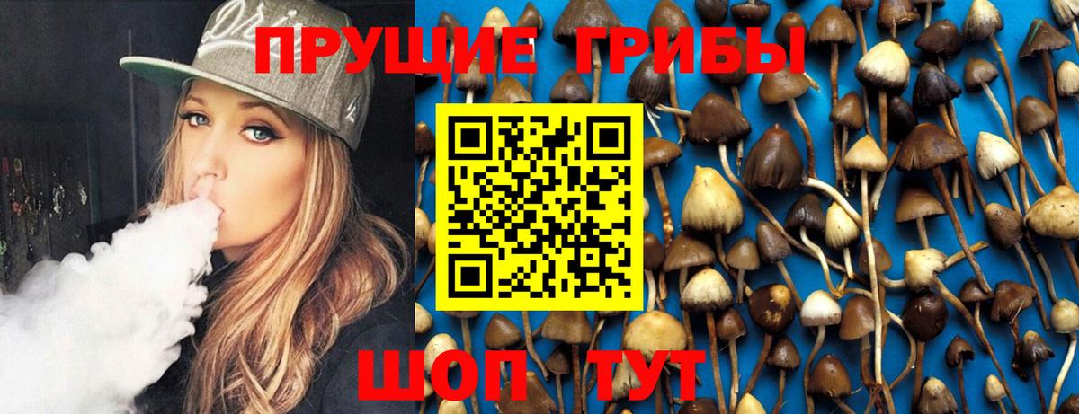 Псилоцибиновые грибы MAGIC MUSHROOMS  Вход с VPN  Лесной  магазин  наркотиков  Галлюциногенные грибы GOLDEN TEACHER 